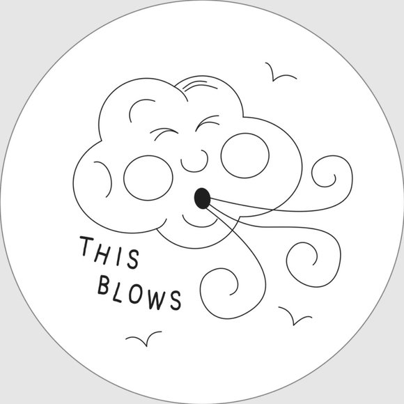 Snarky Embroidery Pattern Transfers Set of 10 Reusable Iron-On Designs - Picture 9 of 11